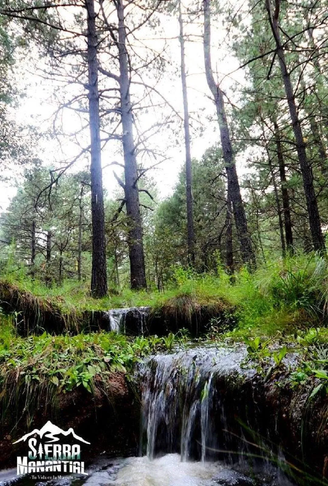 Terrenos en Sierra Manantial
